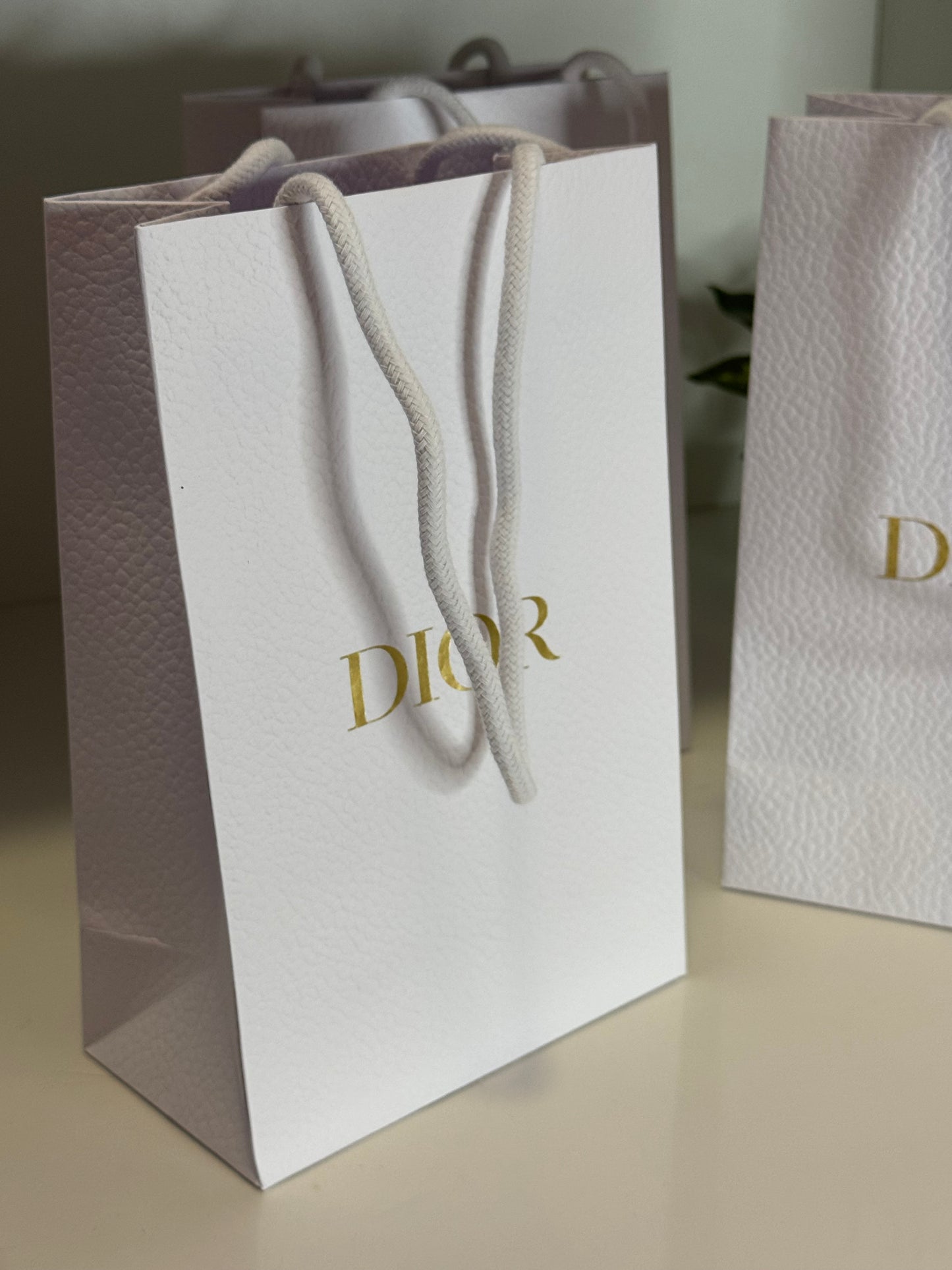 Dior Paper White Bag - M Size
