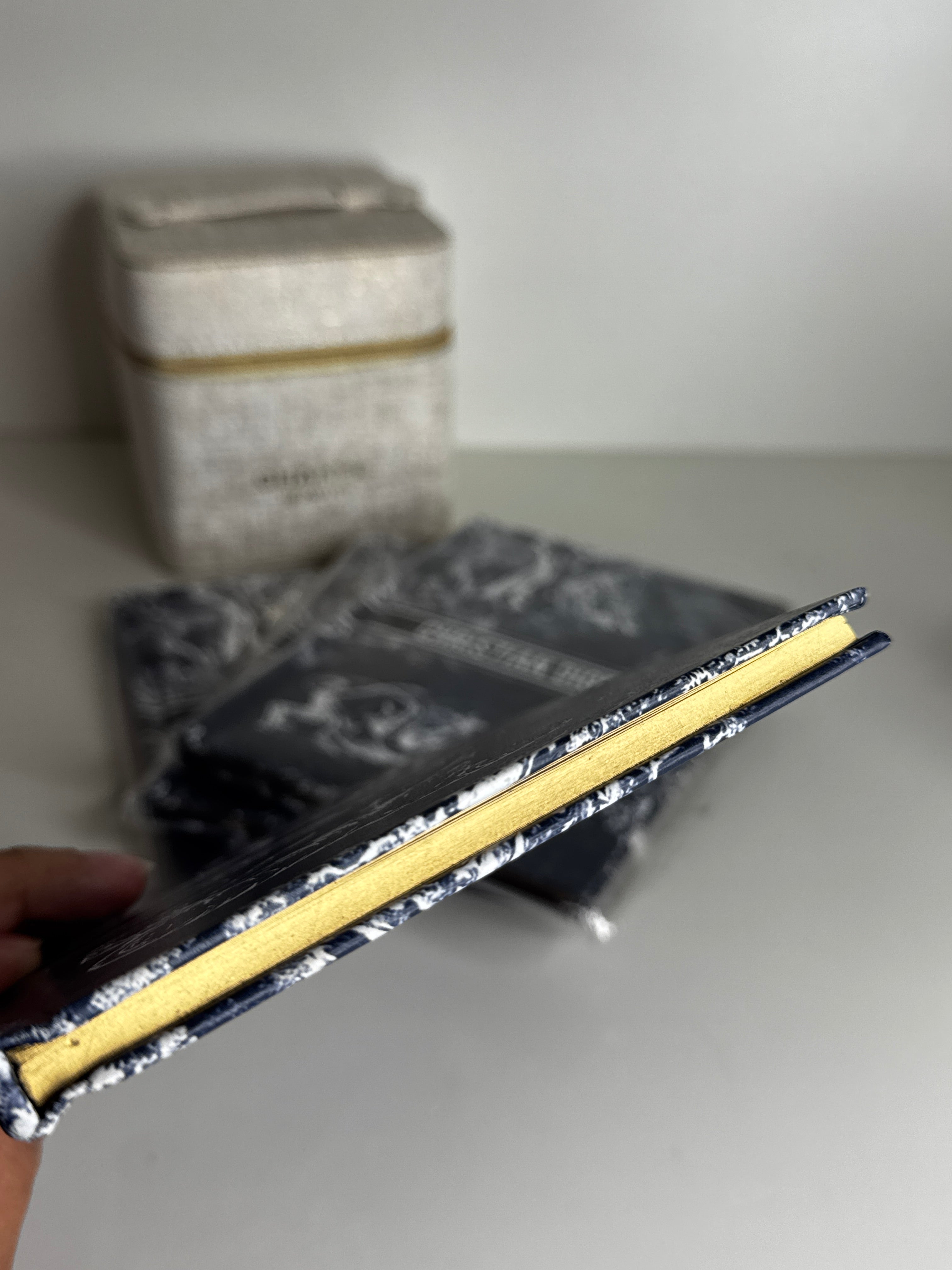 Navy 2023 Toile de Jouy Novelty Notebook