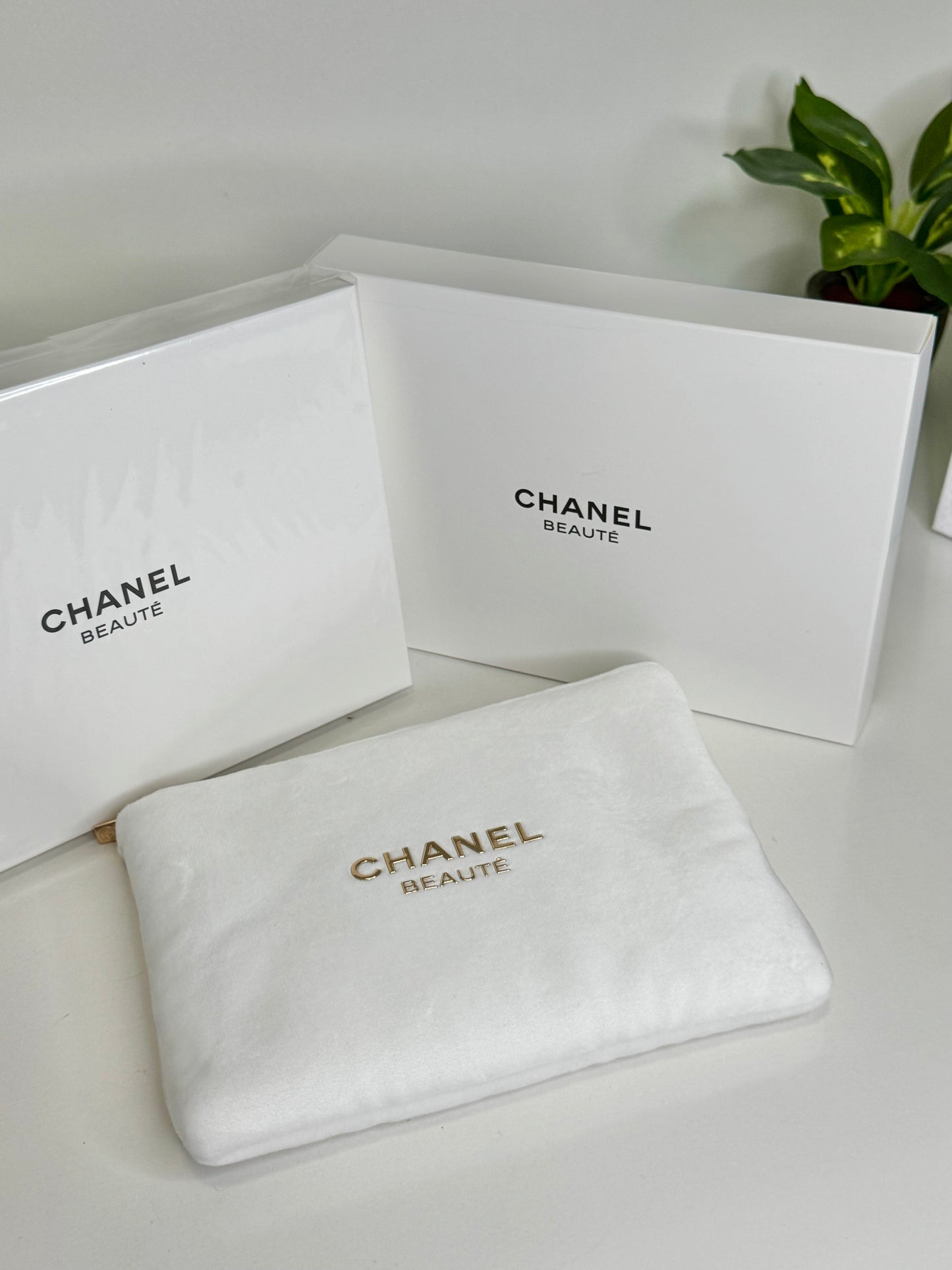 Chanel Beauty Pouch 2024