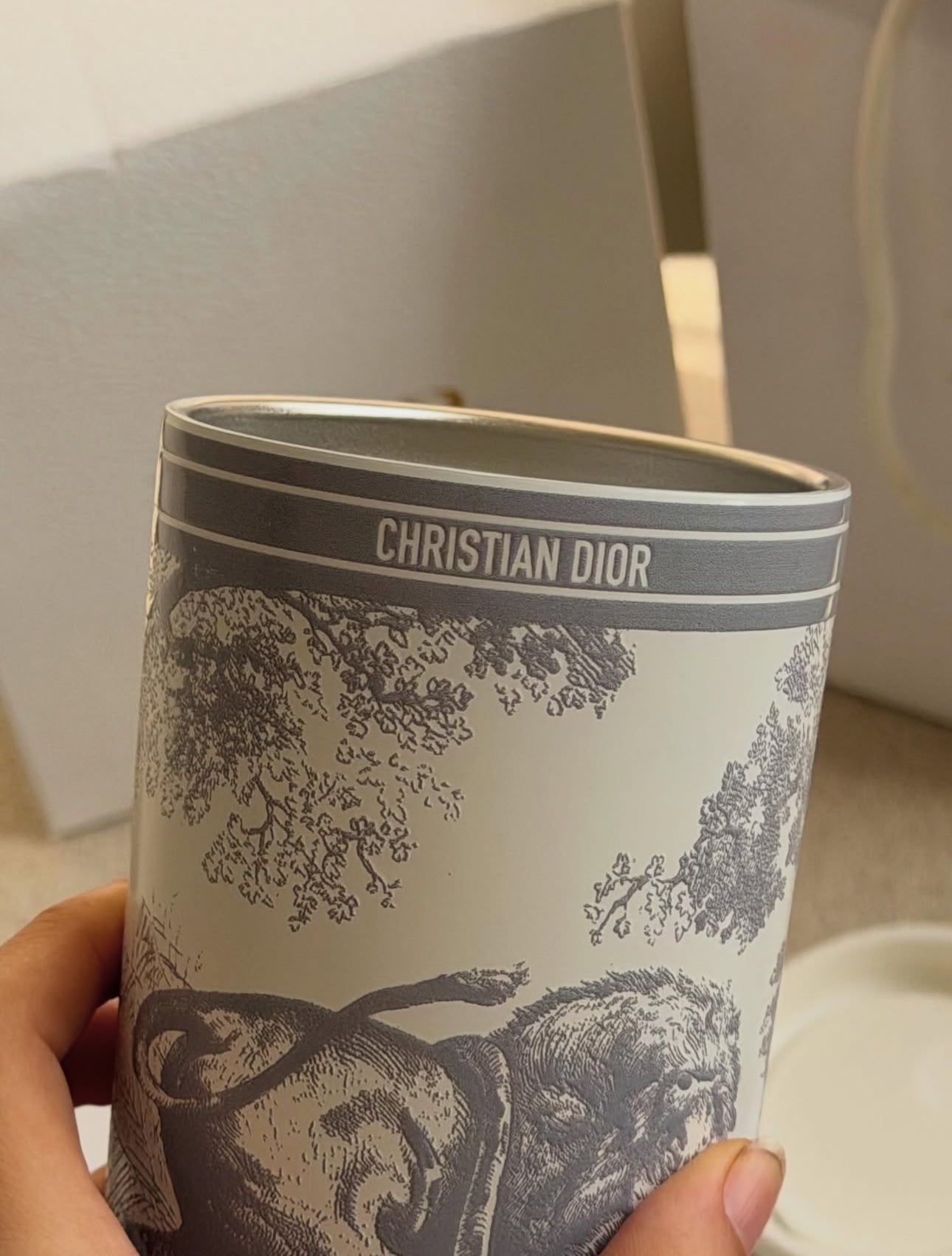 Exclusive Christian Dior Stainless Steel Flask