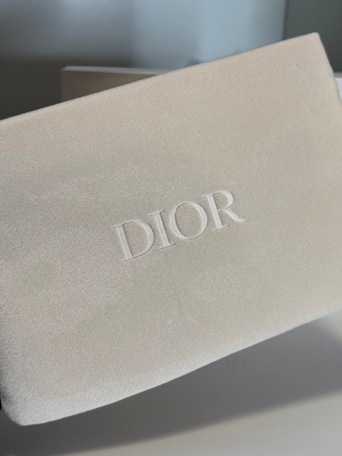 Dior Velvet Pouch - Beige