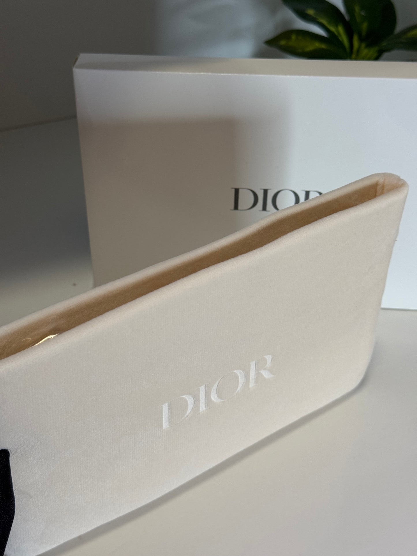 Dior Velvet Pouch - Beige