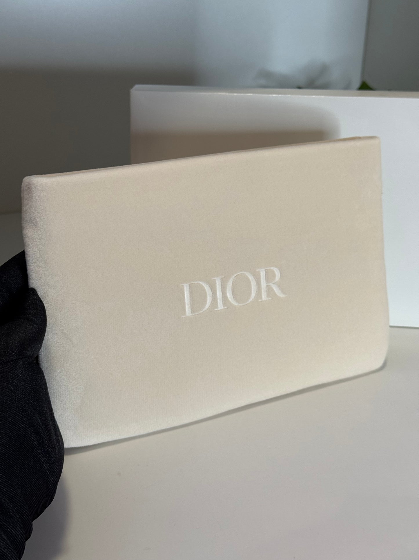 Dior Velvet Pouch - Beige