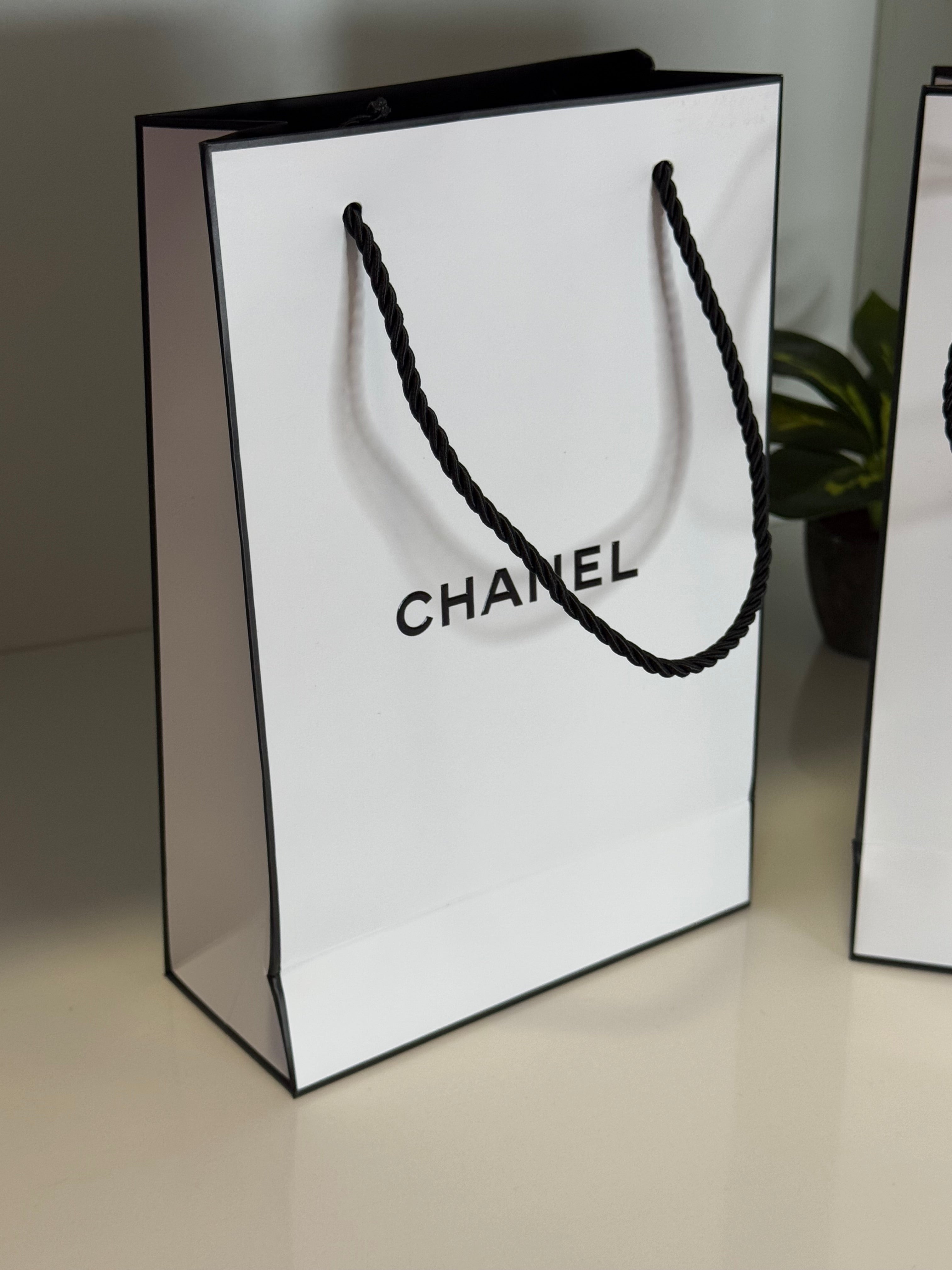 Chanel Paper/Gift Bag - M Size (Tall)