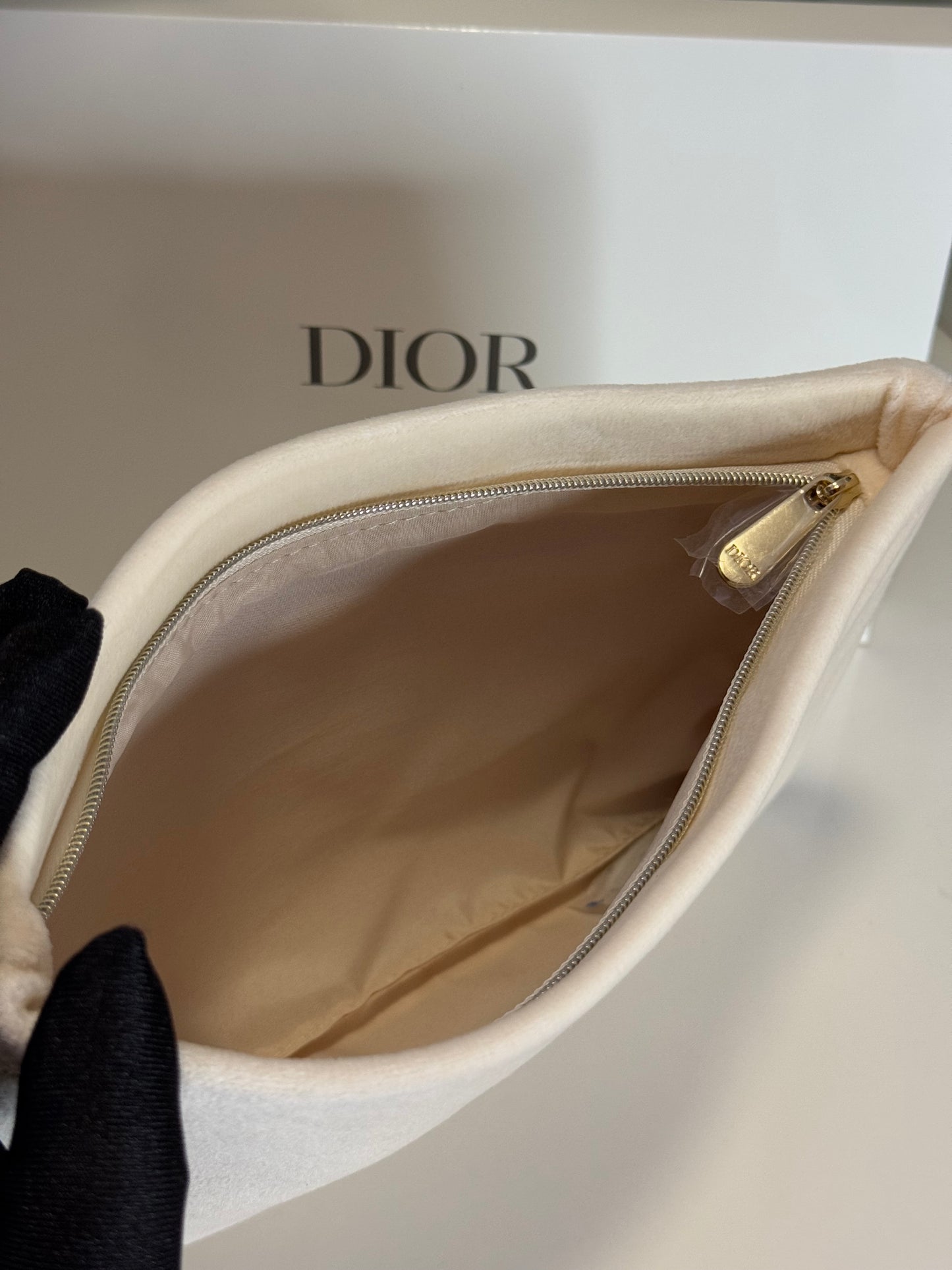 Dior Velvet Pouch - Beige